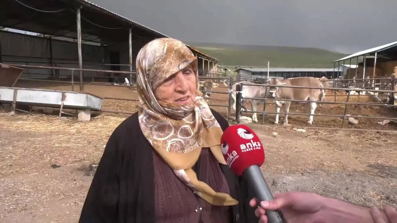 Listeleme Görseli