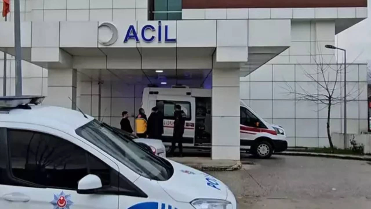 Listeleme Görseli